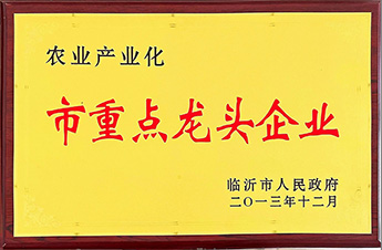 農業(yè)產業(yè)化市重點龍頭企業(yè)